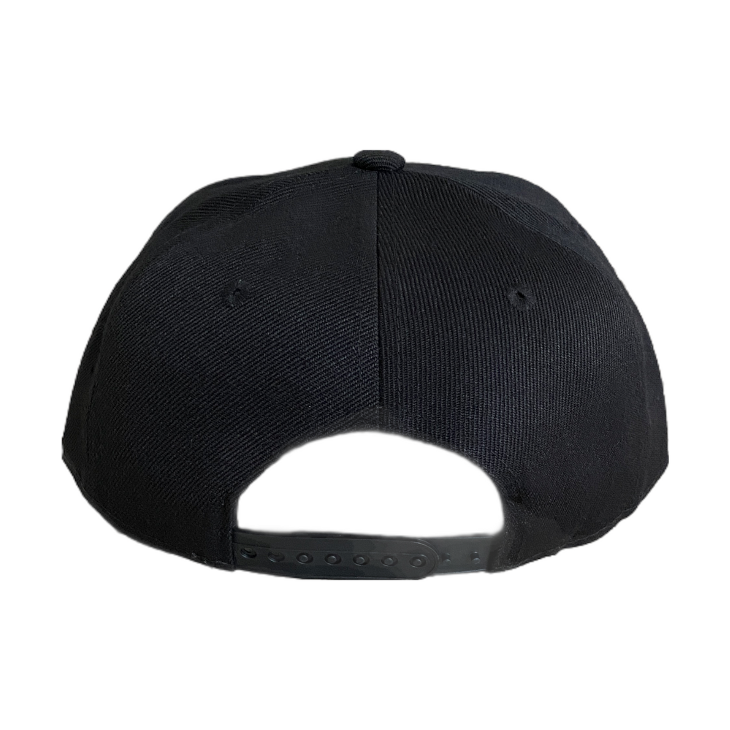 Viva La Raza SnapBack Hat *LIMITED EDITION*